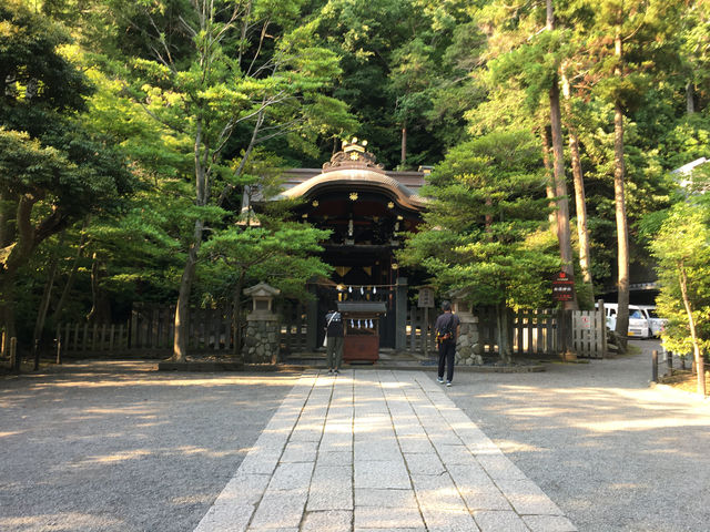 鶴岡八幡宮的莊嚴與美麗：探索鎌倉的靈魂