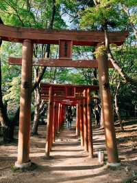 🇯🇵日本福岡景點⛩️ 寶滿宮 竈門神社🌸