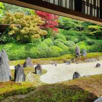 【2024春】龍台院：石頭、沙石、苔蘚打造的禪意枯山水庭園，適合春天遊玩