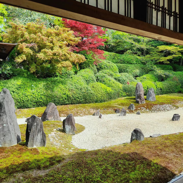 【2024春】龍台院：石頭、沙石、苔蘚打造的禪意枯山水庭園，適合春天遊玩