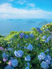 【香川】6月に行きたい！天空の紫陽花が美しすぎるスポット！