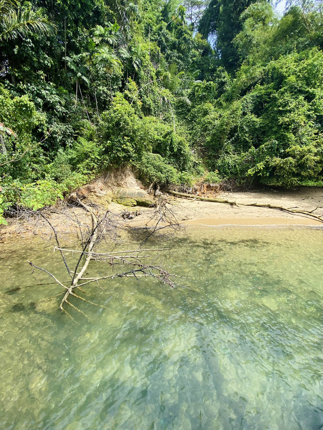 🇸🇬 Scenic Strolls at Bukit Chermin Boardwalk, Singapore