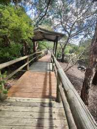 Ballarat Bird World