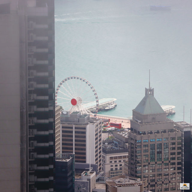 Sky Terrace 428