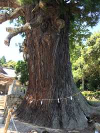 探訪隠岐島玉若酢命神社：歷史與靈性的融合