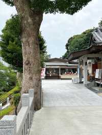 【福岡神社】紫陽花の美しい花手水💜