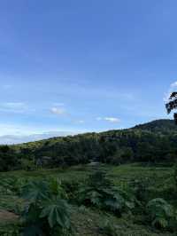 TASANA คาเฟ่น้องใหม่กลางหุบเขา 🏞️☁️
