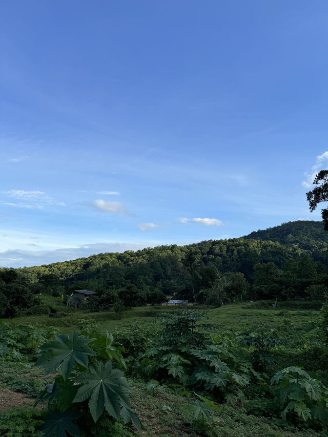 TASANA คาเฟ่น้องใหม่กลางหุบเขา 🏞️☁️