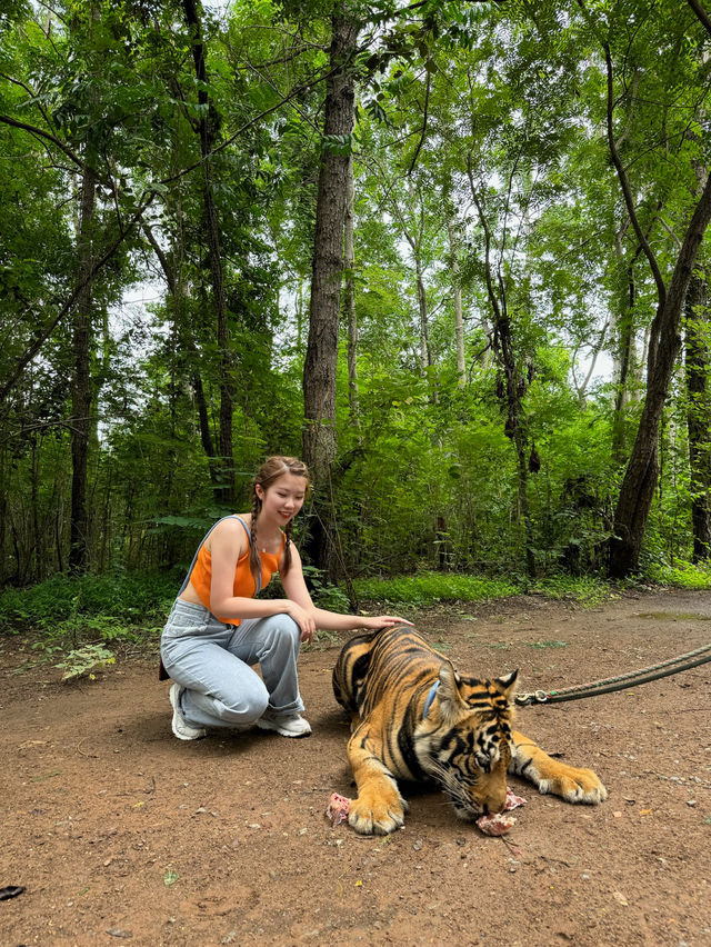 🇹🇭 泰國旅行·北碧府野生動物園Safari Park