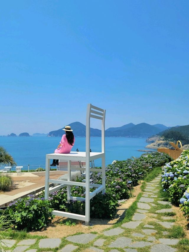 현시각 거제에서 가장 예쁜 수국카페💙