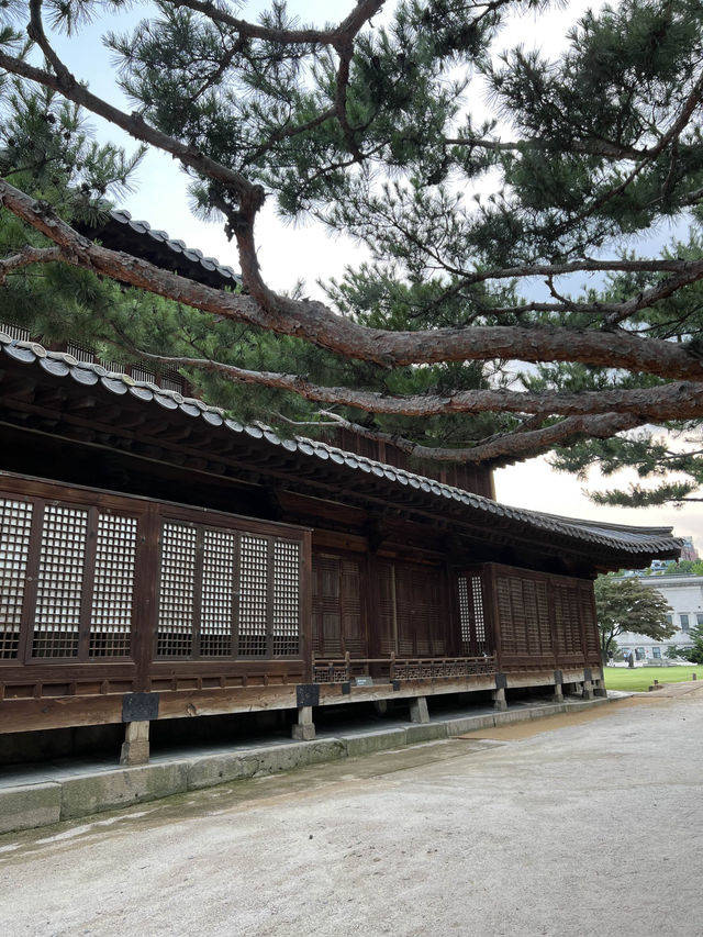 마지막 조선 황실의 궁궐 덕수궁🏰