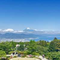 富士山が絶景の日本平