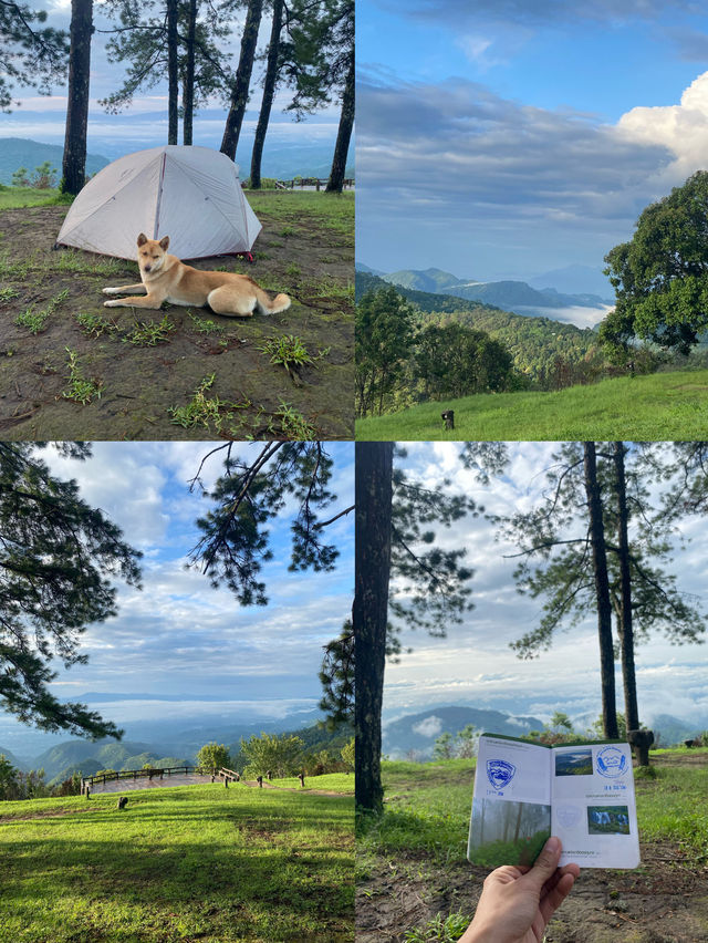 ม่อนสน | เชียงใหม่ 🏕️🌧️⛰️🐶