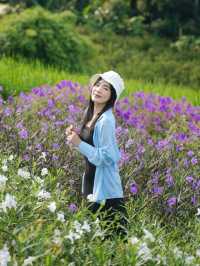 ภูบ้านสวน โฮมสเตย์ @แม่แตง เชียงใหม่