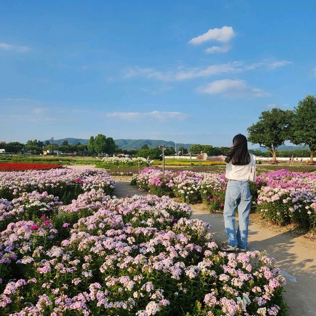 여름의 경주🩵