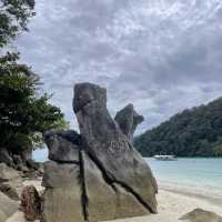 หมู่เกาะสุรินทร์ ดำน้ำฟินมากก 