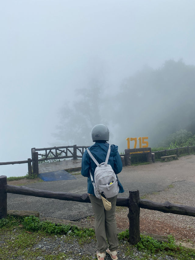 ฤดูฝนที่ดอยภูคา | จ.น่าน ⛰️🌳🌿🌧️