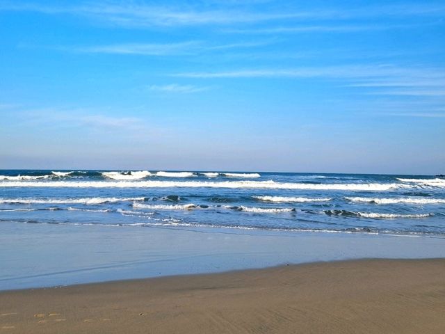강릉여행 필수코스~! 숨은 명소: 🏖강문해변💙🩵💙🩵