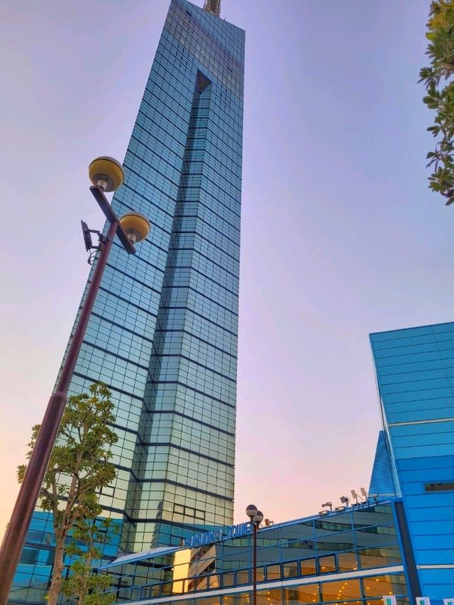 후쿠오카 여행 필수코스! : 후쿠오카 타워🗼