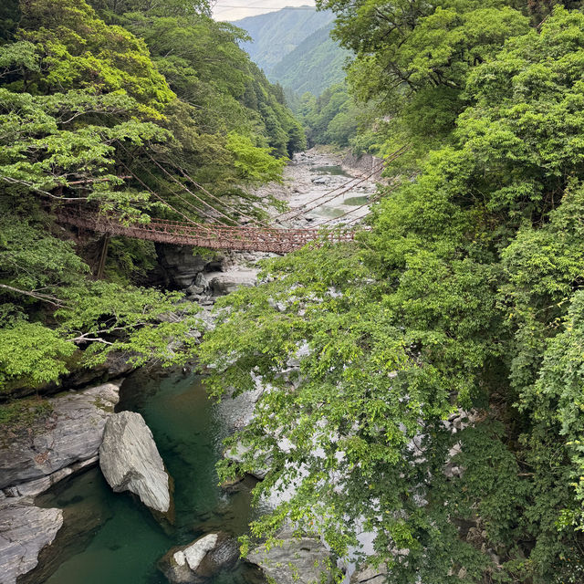 日本三大奇橋之《祖谷蔓橋》