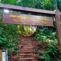 นาข้าวขั้นบันได แม่กลางหลวง