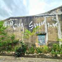 😊 Yala Bird City Street Art