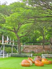 ฟาร์มแกะสุดฮิตที่สวนผึ้ง ไม่แวะคือมาไม่ถึง 🐑🐏