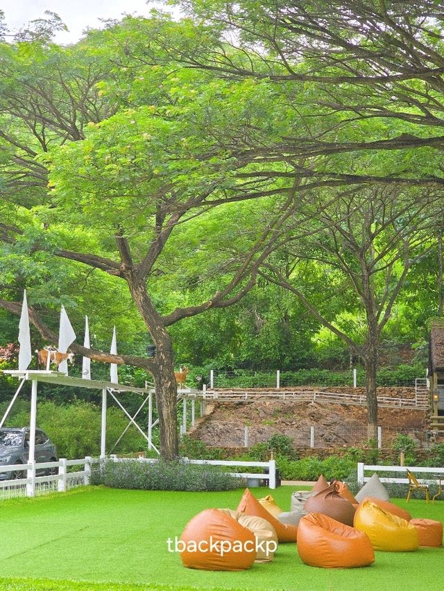 ฟาร์มแกะสุดฮิตที่สวนผึ้ง ไม่แวะคือมาไม่ถึง 🐑🐏