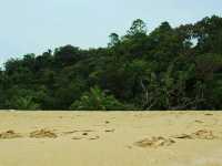 หาดเล็ก อช.เขาหลัก จ.พังงา