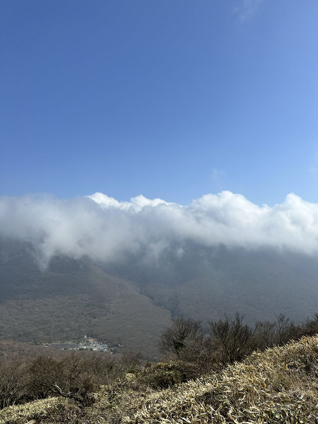 🇰🇷 濟州 韓國最高山漢拿山 🏔️ 最短登山徑⛰️