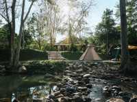 Butterfly Camping