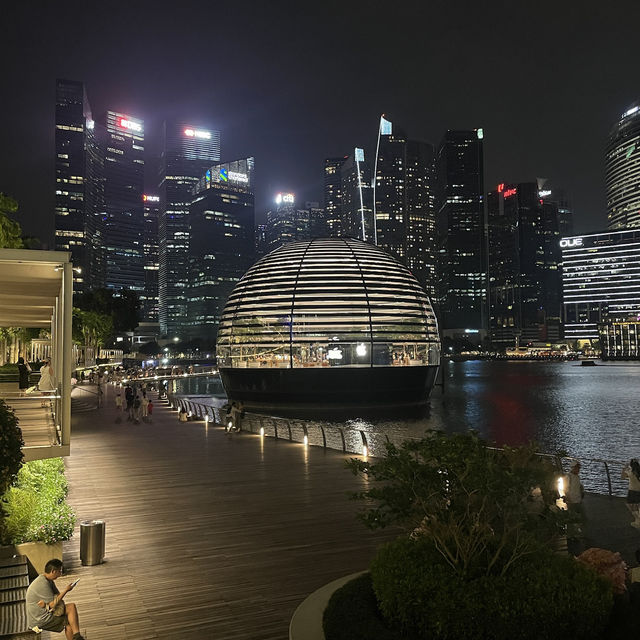 MARINA BAY SANDS! 