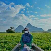 🇲🇾 Discover Perlis 3D2N: A Scenic Journey Through Culture, Nature, and Local Flavors