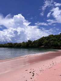 Secret Pink Beach in Lombok, Indonesia 🇮🇩