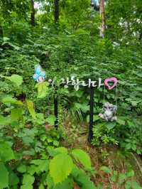 유럽수국 만개한 무료입장 동화마을