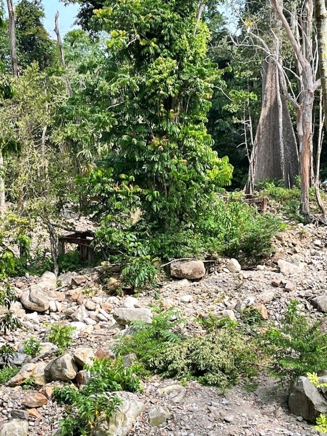 Hutan Lipur Batu Hampar