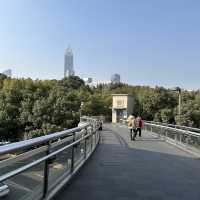 Explore China’s Rich Cultural Heritage at the Shanghai Museum