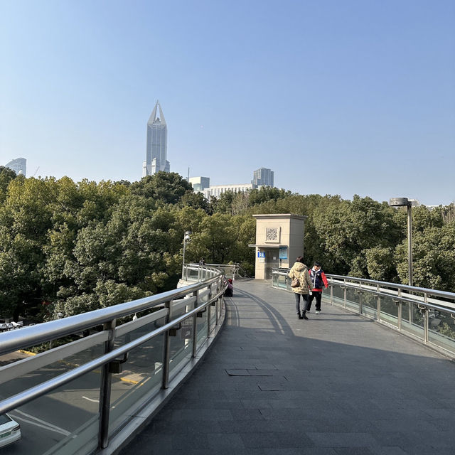 Explore China’s Rich Cultural Heritage at the Shanghai Museum
