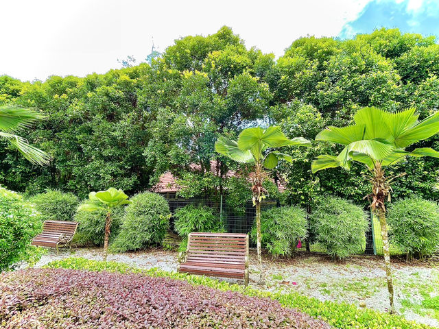 A journey into the heart of the world’s natural heritage🇲🇾