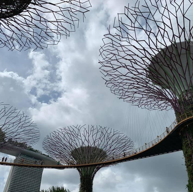 濱海灣花園天空步道-超級樹