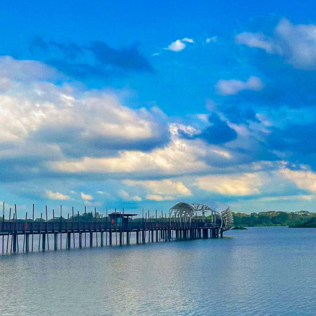Kayaking at Lower Seletar Water Sports Centre