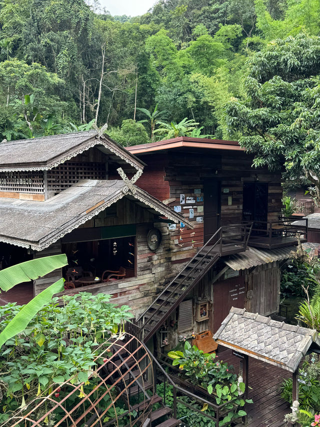 ที่พักแม่กำปอง | จ.เชียงใหม่ 🏡⛰️🍃💤