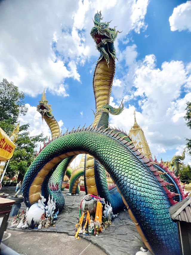 📍วัดพระธาตุหนองบัว อ.เมือง 