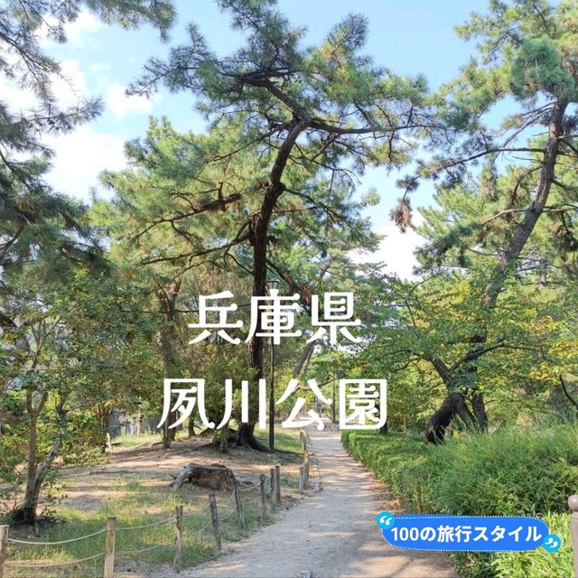 私の100の旅✨おすすめの桜並木の公園『夙川公園』🌸