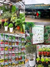 A Day at AGRO Nursery, Adda Heights
