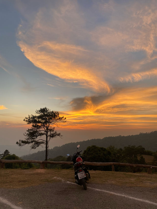 ห้วยน้ำดัง | จ.เชียงใหม่ ⛺️☀️⛰️🌳