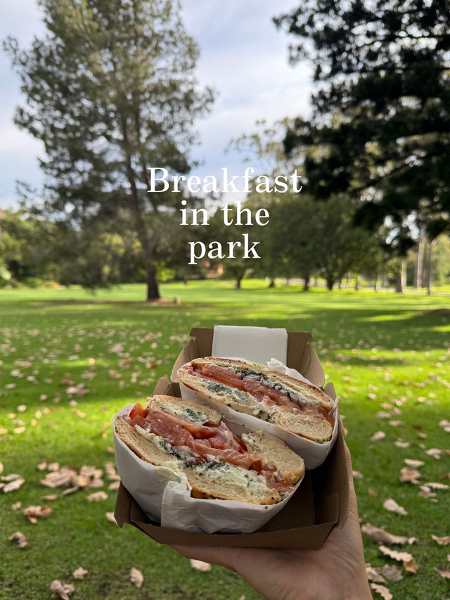 【🇦🇺パース】公園で朝活！おしゃれな朝食を食べよう🥯