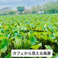清州　この建物は必見！人文アーカイブ養林&カフェHUMANITAS 