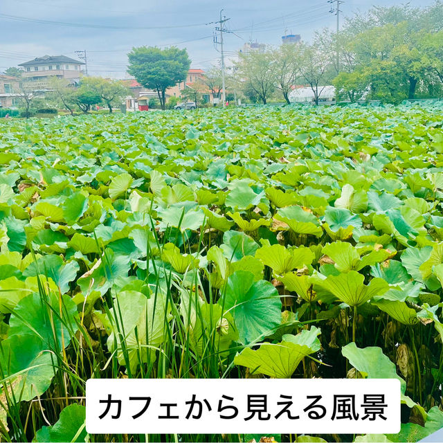 清州　この建物は必見！人文アーカイブ養林&カフェHUMANITAS 