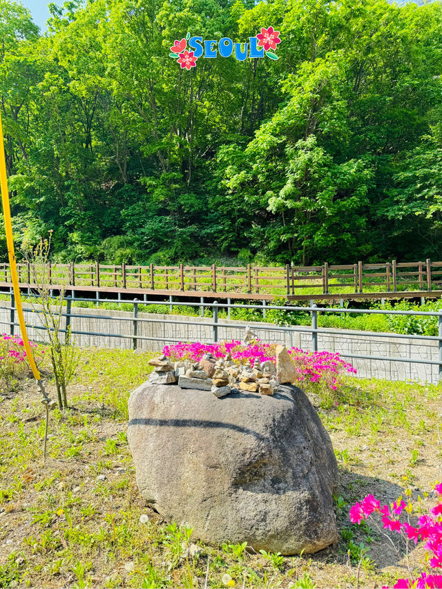 🇰🇷 Gamaksan Entrance is a photo spot 